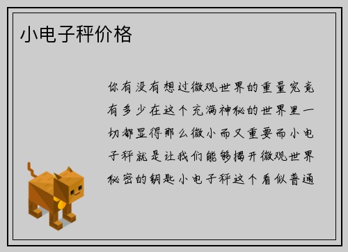 小电子秤价格